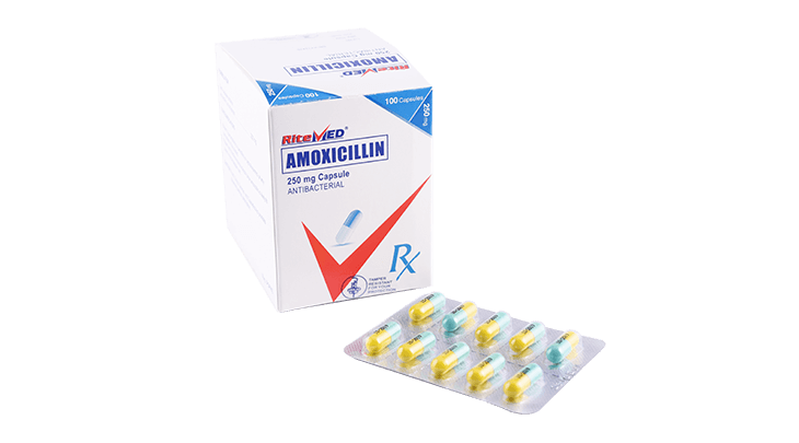 RM AMOXICILLIN 250 MG CAP